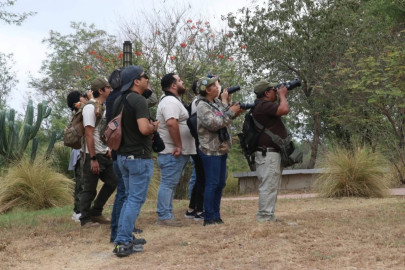 Reúne TAMUX a familias y estudiantes en experiencia de avistamiento de aves