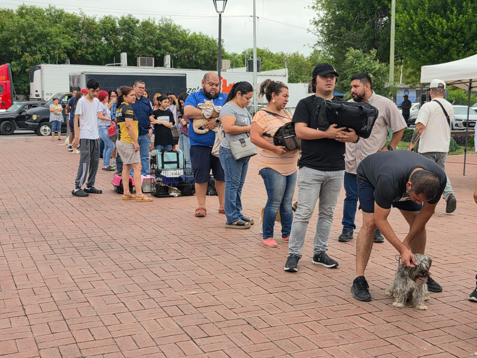 Supera expectativas Jornada Drive Thru de vacunación y desparasitación animal