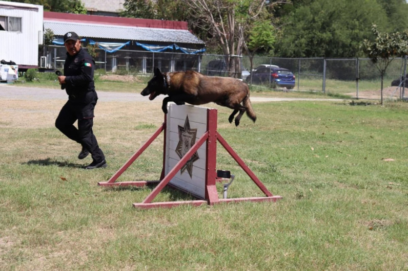 Binomios K-9 de la Guardia Estatal fortalecen la seguridad y la cercanía con la ciudadanía