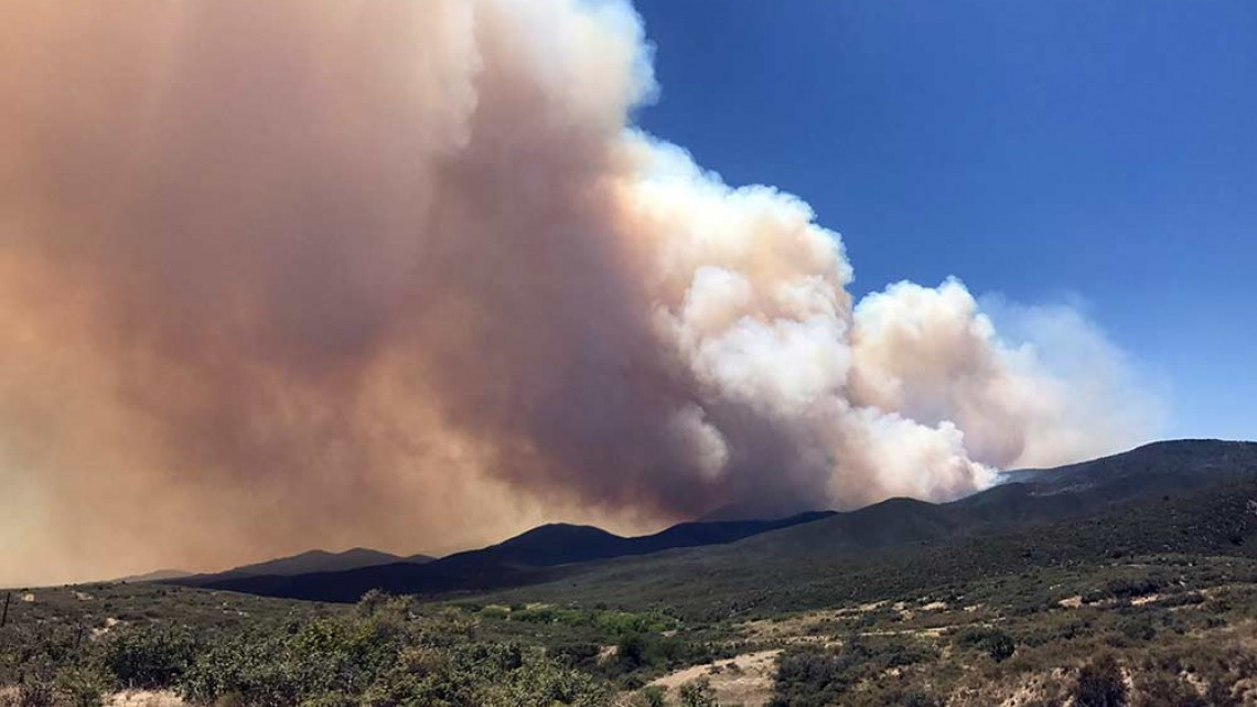 Registran incendio forestal en Bosque Nacional de Prescott