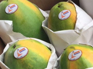 Brote de salmonella es culpa de papayas mexicanas: EU 