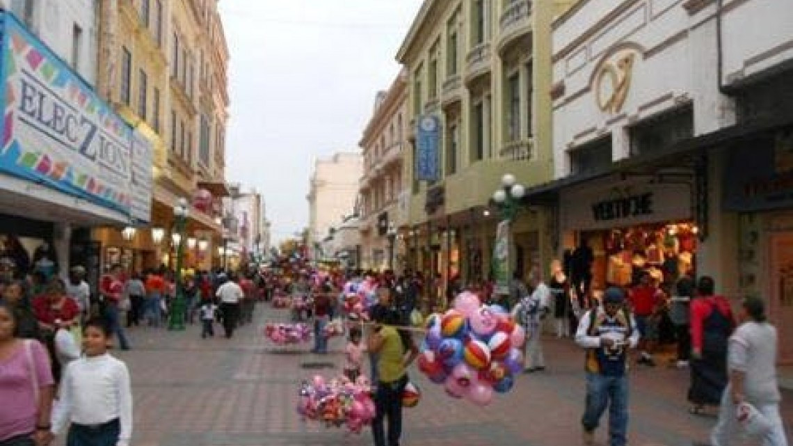 Seguridad privada para zona centro costará 400 mil pesos