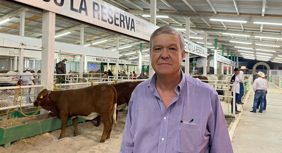 Favorecen lluvias a ganaderos