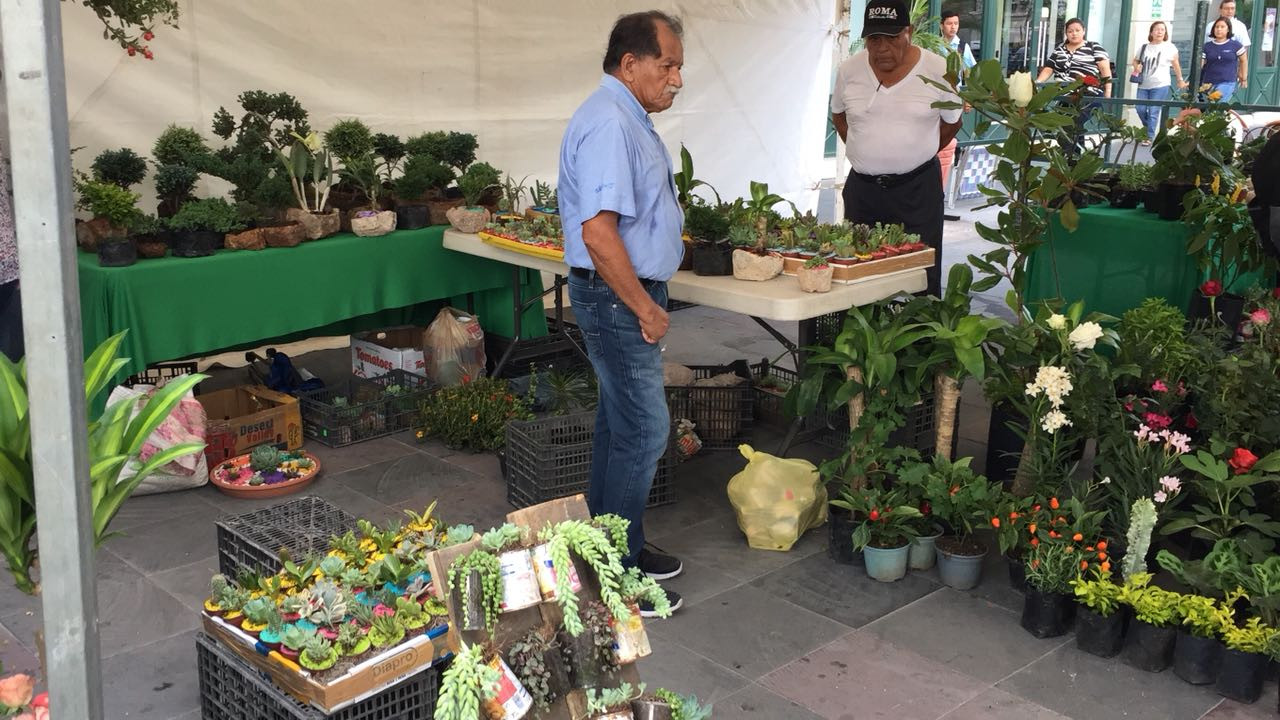 Conmemora Tampico el día mundial de la biodiversidad