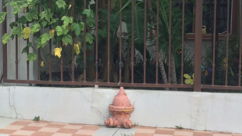 Bomberos denuncian mala instalación de hidrantes