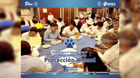 Ayuntamiento da adelanto de 1er Informe