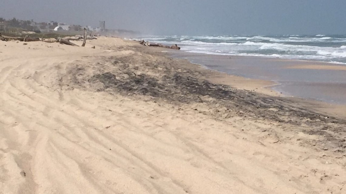 Playa Miramar contaminada de chapopote