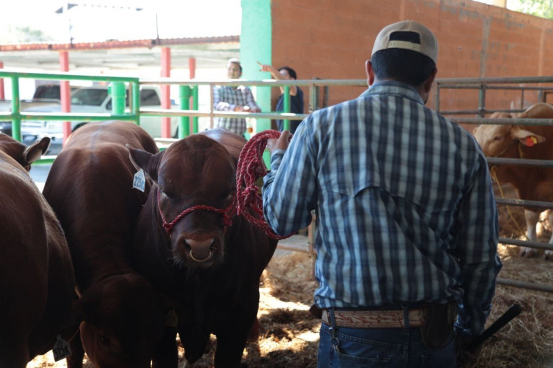 Brinda Gobierno Municipal apoyos a ganaderos locales 