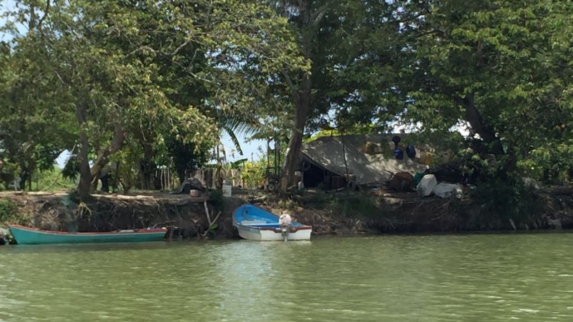 En proyecto la siembra de tilapia en el sistema lagunario