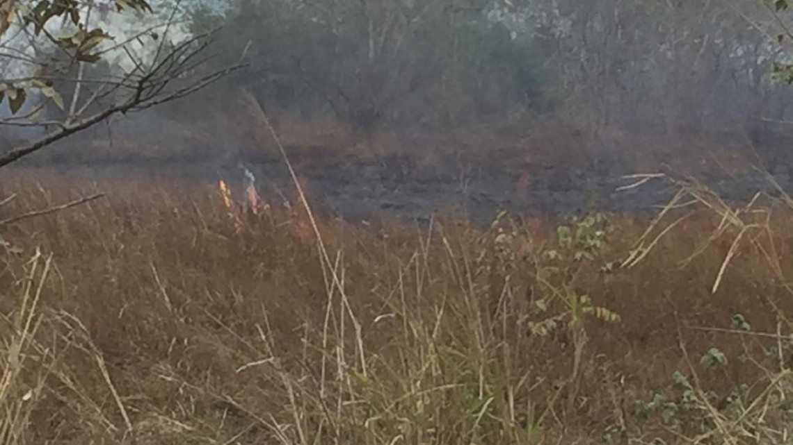 Norte provoca caos en sur de Tamaulipas 