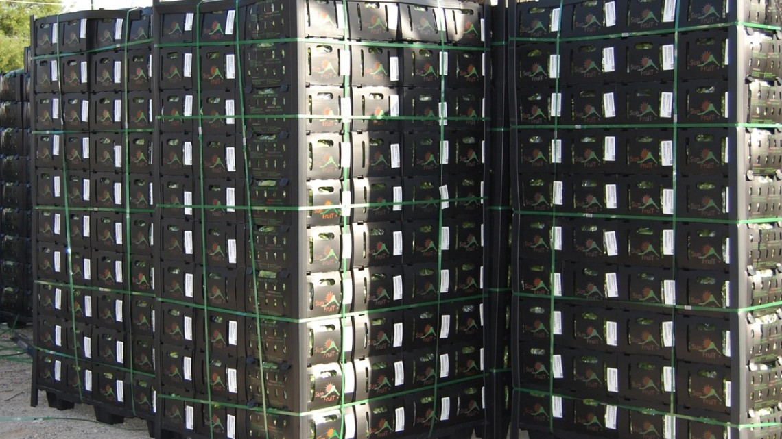 DIF Río Bravo beneficia a más de 800 familias con entrega de Okra