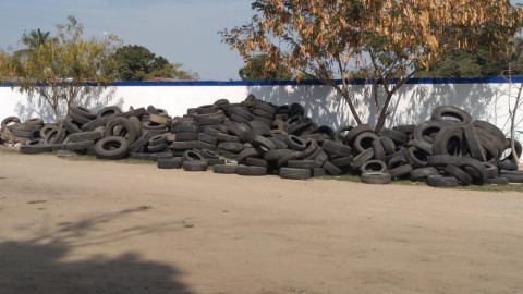 Levantan toneladas de llantas en basureros clandestinos