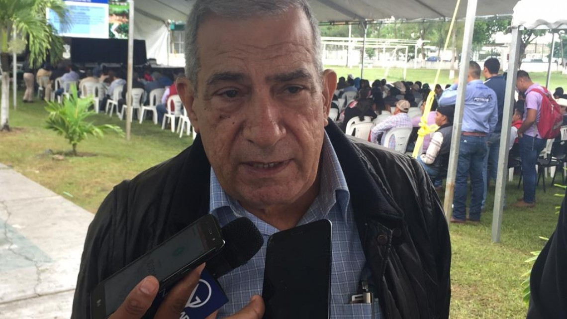 Con nuevas técnicas y variedades de ganado se puede mejorar la producción en el campo: especialistas