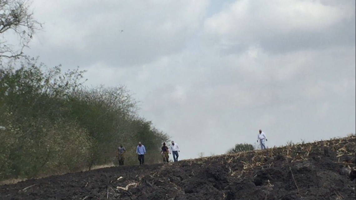 Existen variedad de felinos salvajes en Altamira