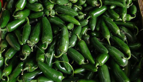 Registra chile verde considerable aumento