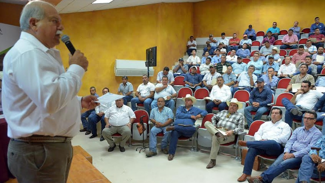 Atenderán problema de plagas en bovinos