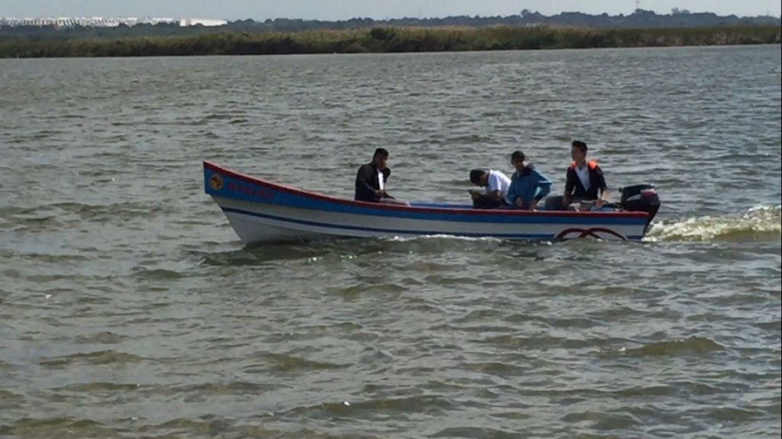 En proyecto la siembra de tilapia en el sistema lagunario