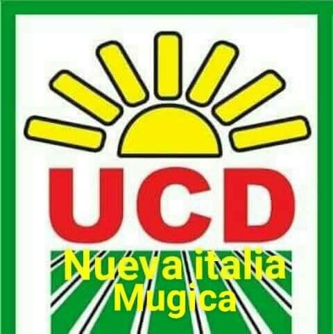 UCD demanda penalmente a vivales que lucran con sus siglas 