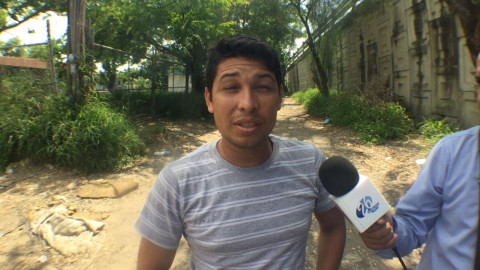 Abejas africanas obligan a familia a abandonar su hogar