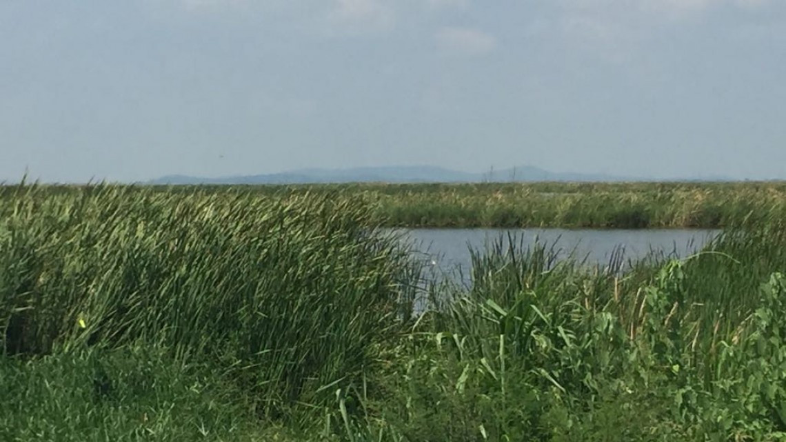 Fuerte explosión en medio del sistema lagunario alerta a vecinos ejidales