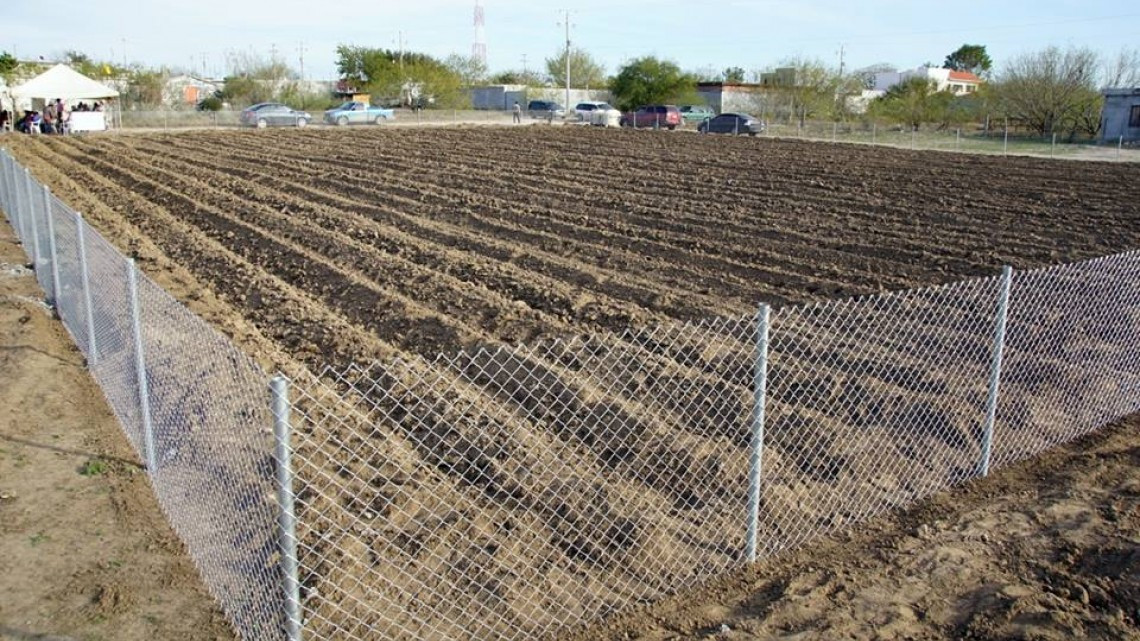 Ponen en marcha el programa de huertos comunitarios