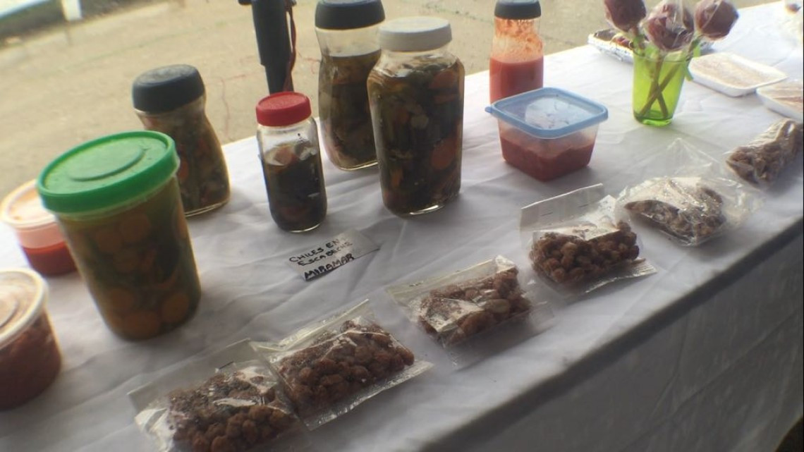 Capacitan a mujeres de Altamira en elaboración de productos