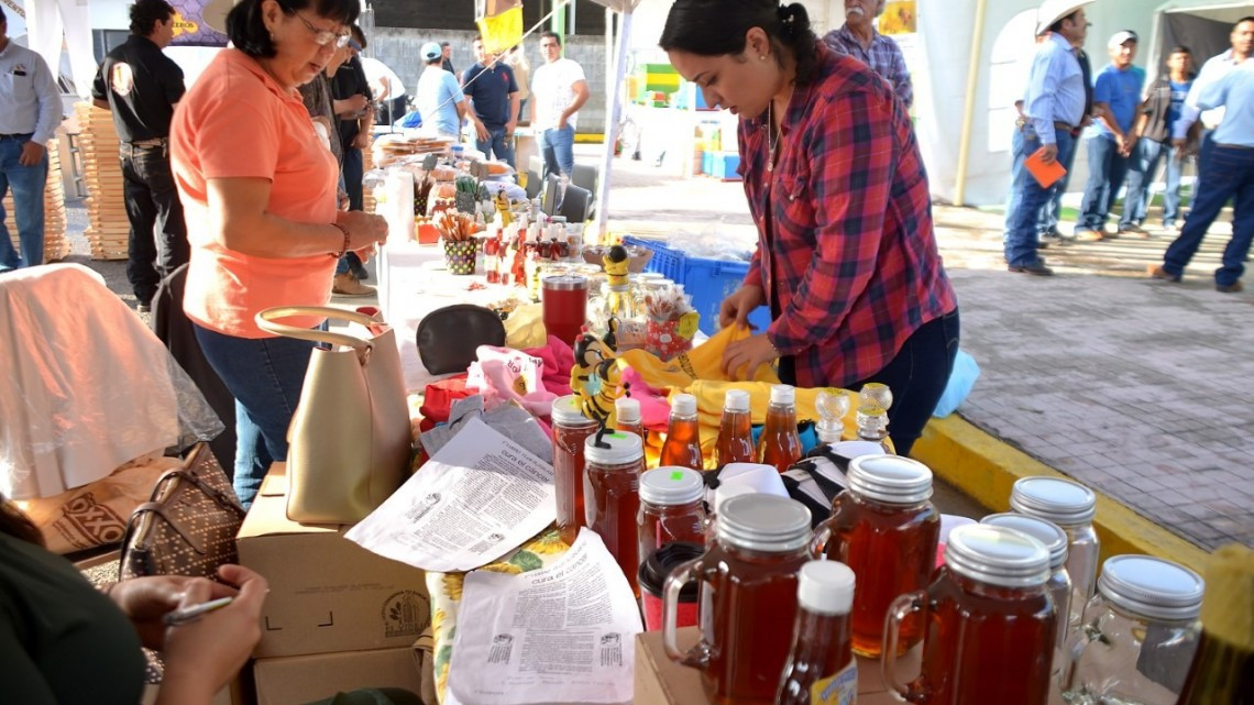 Productores implementarán proyecto en apicultura