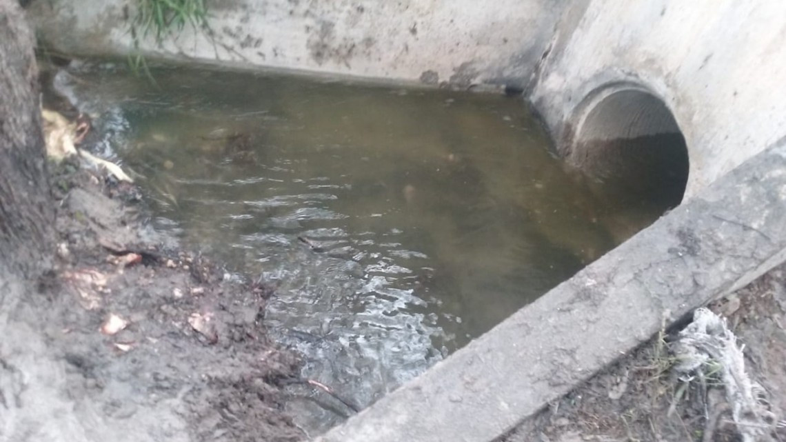 Trabajan Gobierno Municipal en prevención de inundaciones