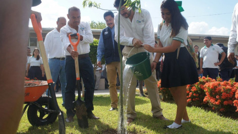 Concluyen talleres de cultura forestal