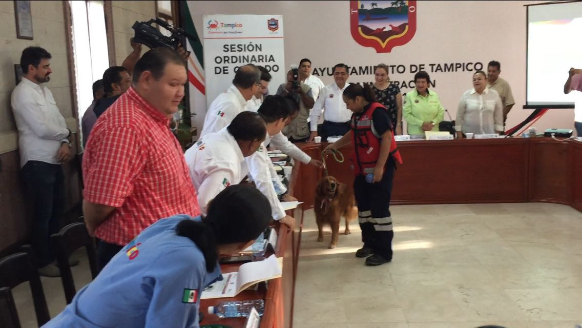 Reciben con honores a Alondra, la perra rescatista