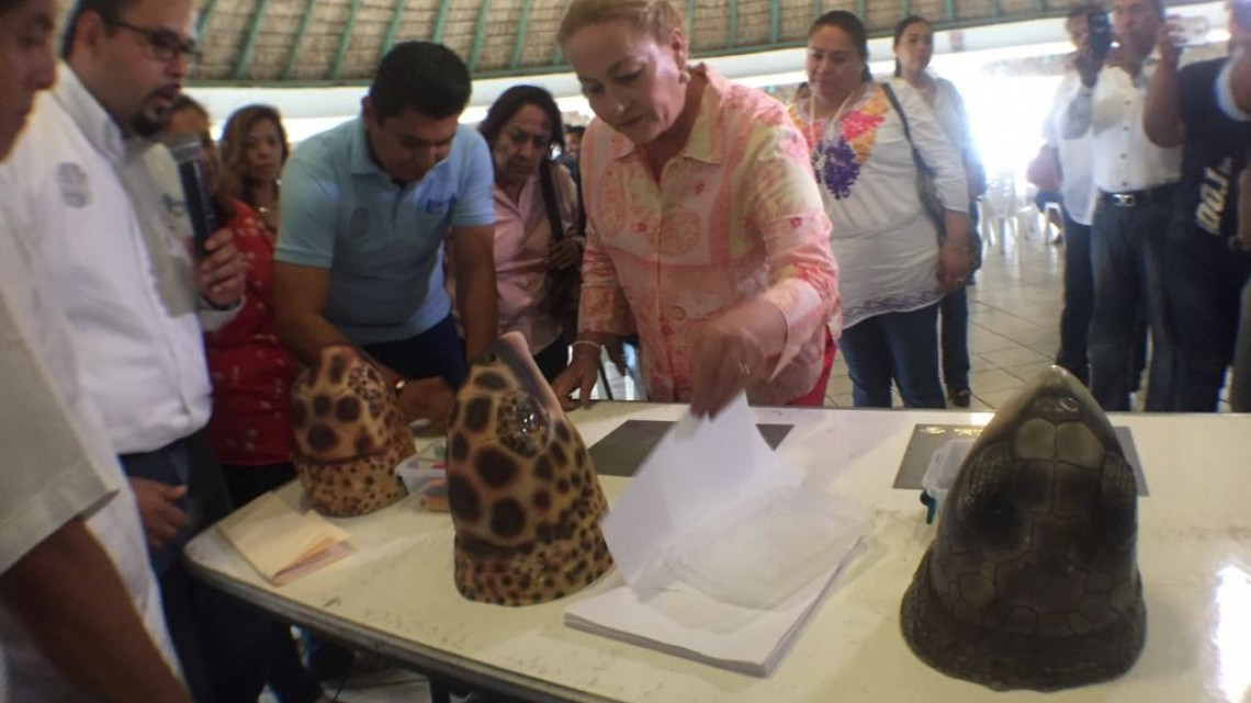 Exposición sobre diversidad de flora y fauna en la zona