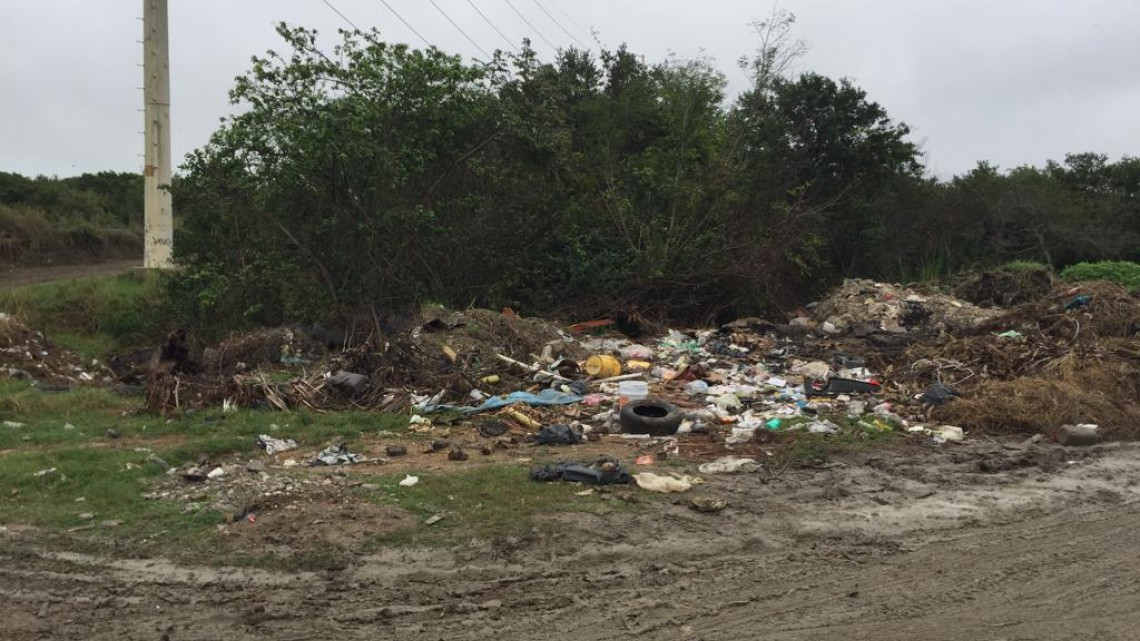 Tala inmoderada amenaza el mangle en Altamira