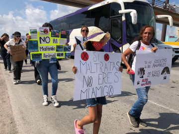 Protestan contra carretoneros defensores de los animales
