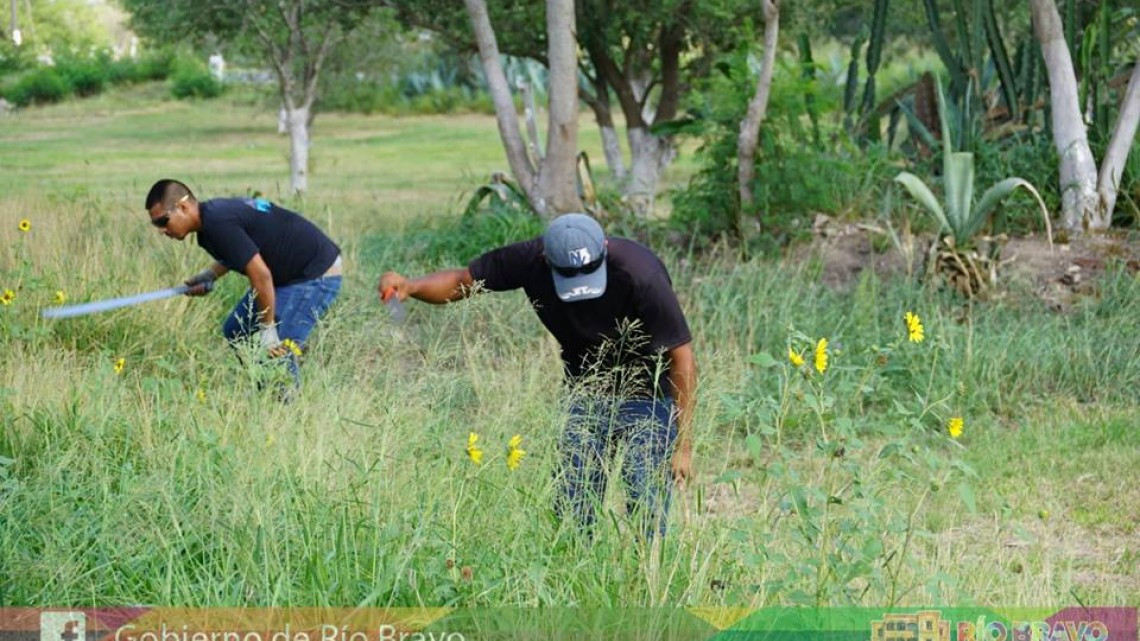 Realizan labores de limpieza en áreas verdes