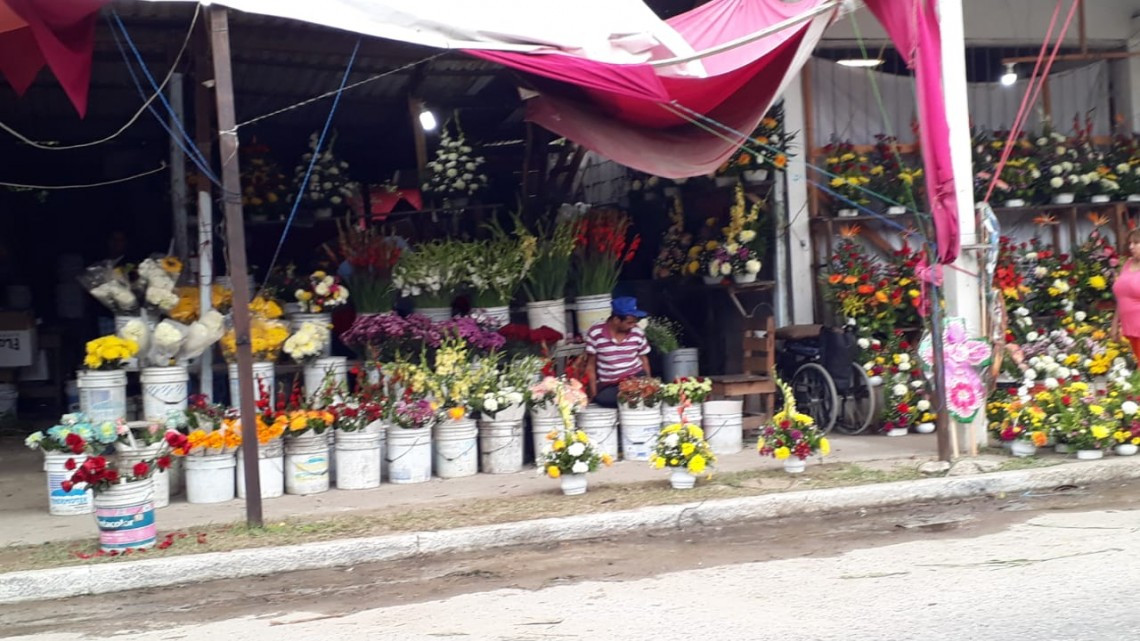 Saldo blanco en cementerios en la celebración de los fieles difuntos