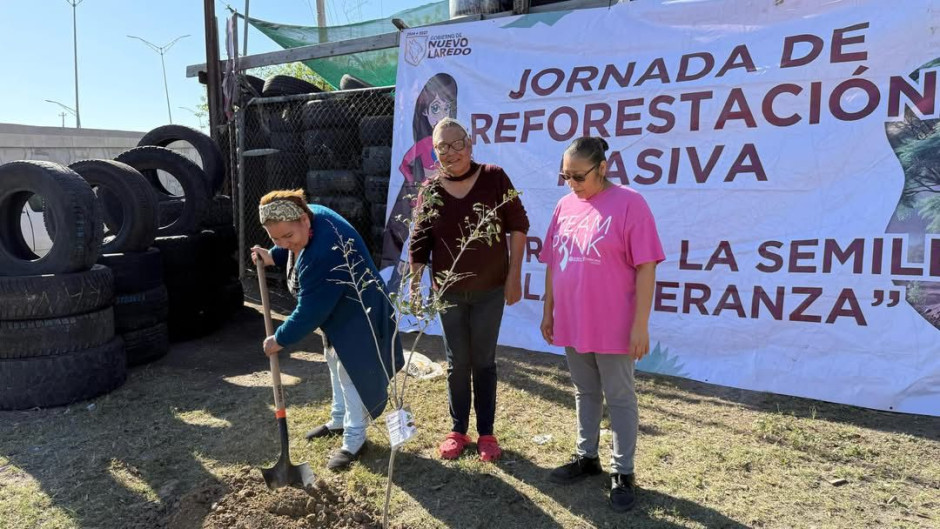 Crean pulmones verdes en escuelas y ciudad 