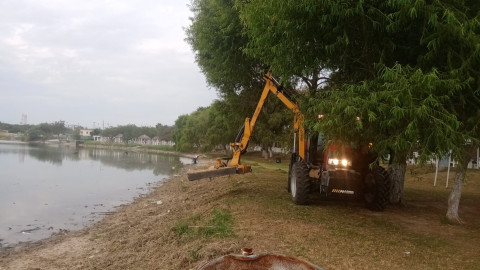 Efectuó Municipio de Reynosa intensa jornada de saneamiento 