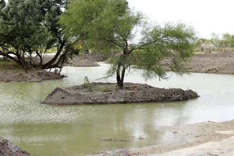 Trabajan en construcción de Laguneta