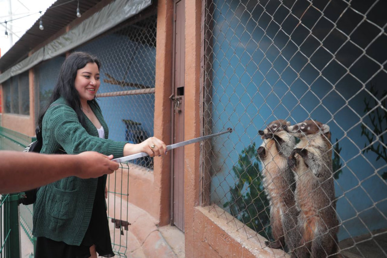 Anuncia Zoológico 'Amorosas Actividades' para este 14 de febrero