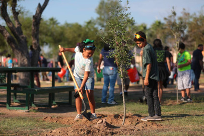 Reforestan espacios públicos con programa municipal "Sembrando Vida"