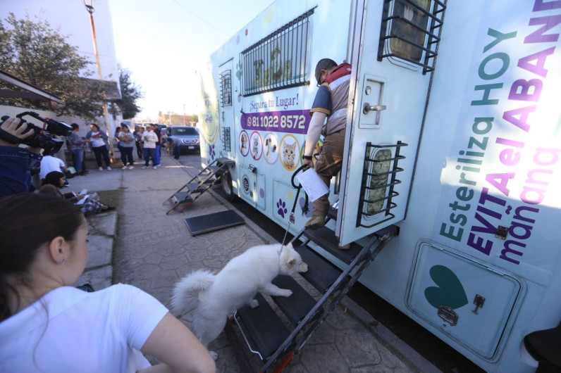 Arranca sexta campaña de esterilización gratuita