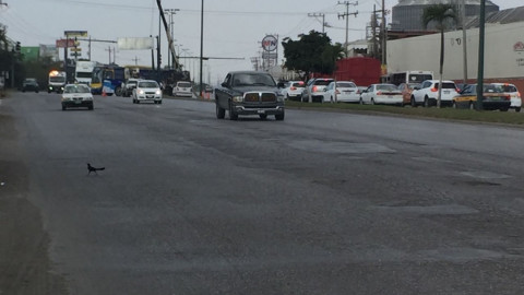 Necesario realizar trabajos de mantenimiento en la avenida de la industria