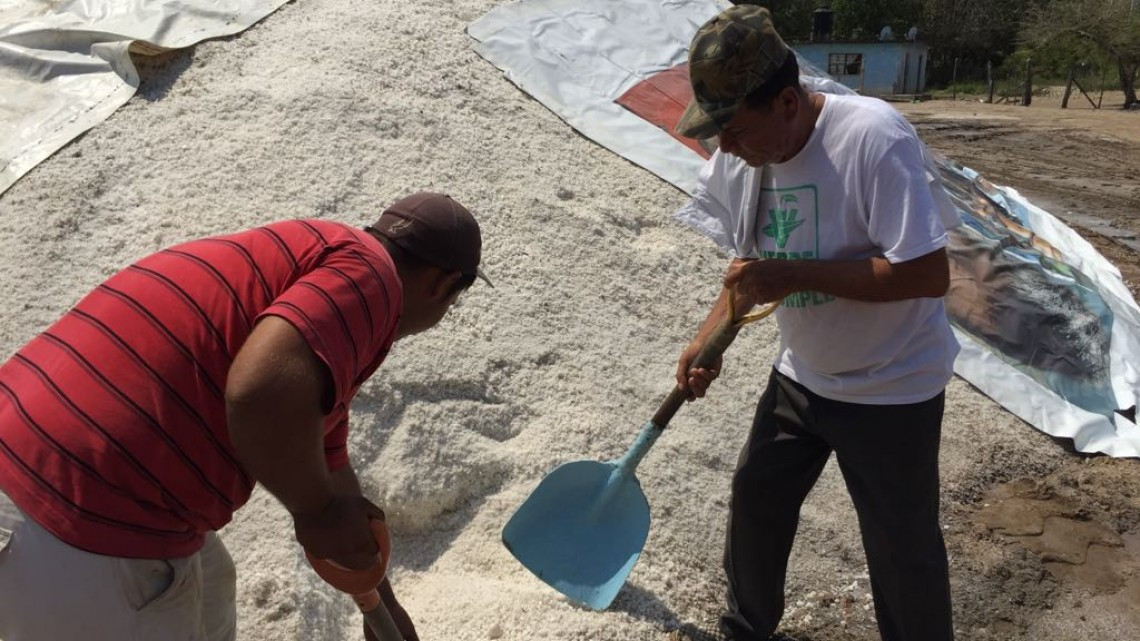 En crisis la industria salinera de Altamira