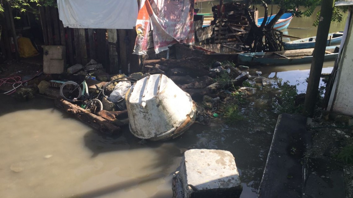 Tamesi inunda nueve manzanas en la Moscú