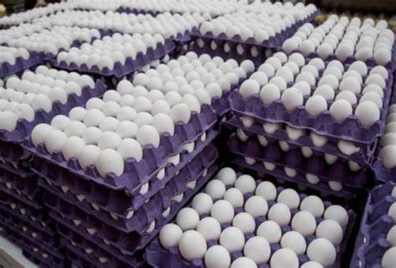 Huevo sigue alto en su precio por baja producción y costos