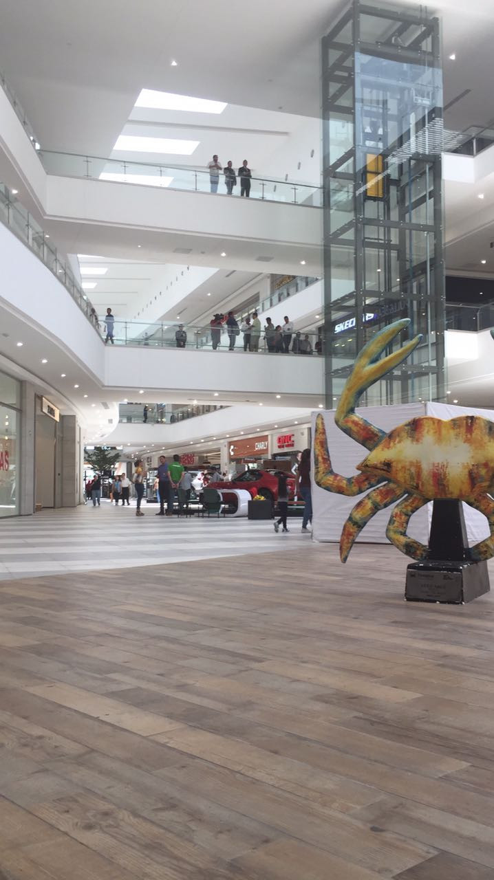 Altama es seguro: Protección Civil