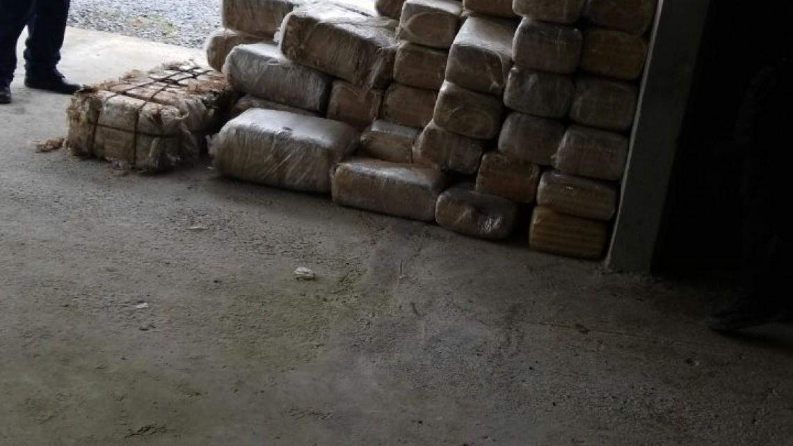Decomisan 655 kg de marihuana