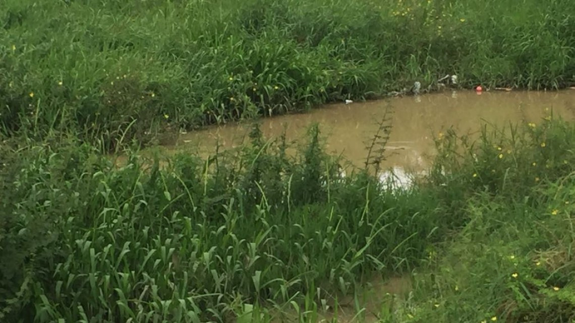 Piden denunciar empresas que rellenan terrenos