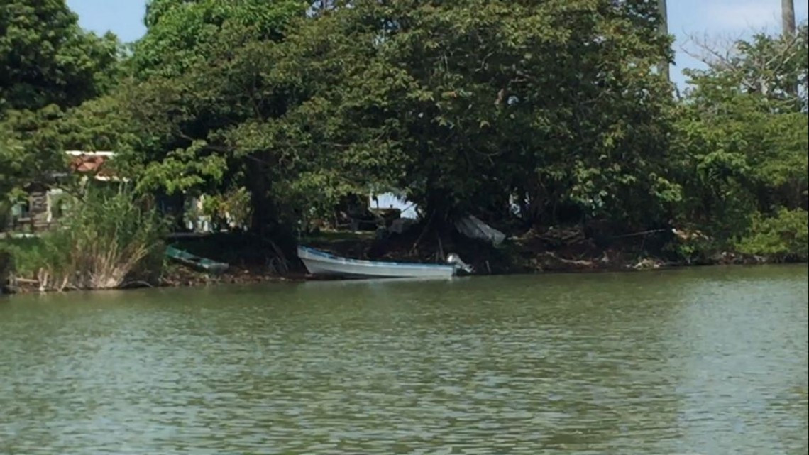 Buscan instalar granjas flotantes para producción de tilapia y otras especies