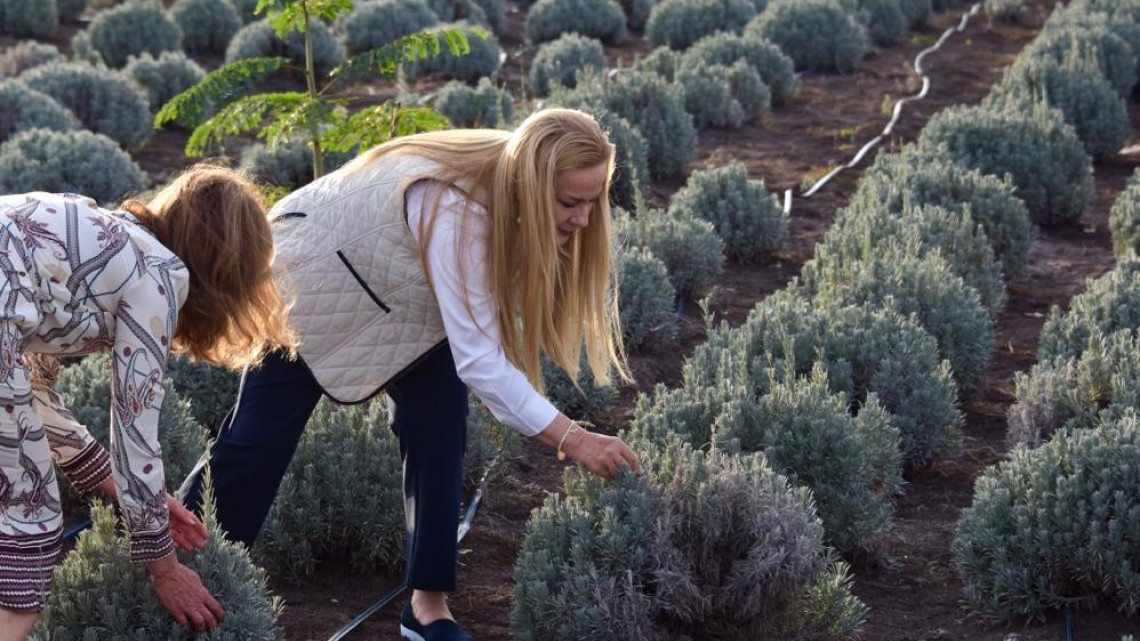 Promueve Gobierno de Alma Laura Amparán el ecoturismo